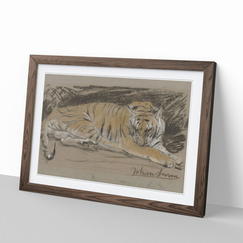 Study of a Tiger Vol.1 by John Macallan Swan - Framed Print, Walnut Framed, 27cm H x 36cm W x 2cm D