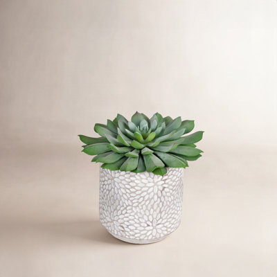 6'' Faux Succulent Plant in Stone Pot