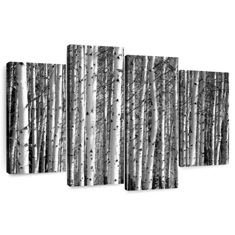 Forêt de bouleaux Harnek Banff, H 27 po x l 43 po