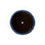 CREST PLANT, NEIGE-1178832793-1178832814
