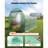Walk-in Tunnel Greenhouse, 10 x 7 x 7 ft Hoop House Greenhouse Tunnel, Plant Hot House with 4 Nozzles, 26.25 ft Hose, Roll-up Zipper Door and 6 Windows for Outdoors, Steel Frame, PE Cover, Green