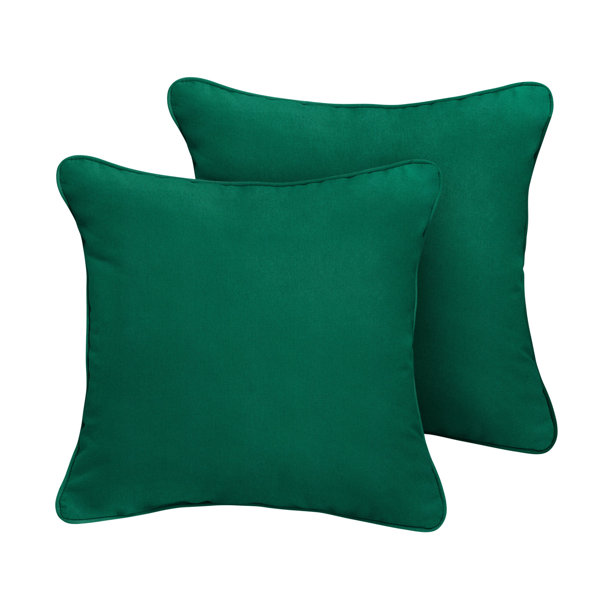 Erika Sunbrella Canvas Indoor/Outdoor Throw Pillow, 22"H x 22"W, Canvas Forest Green