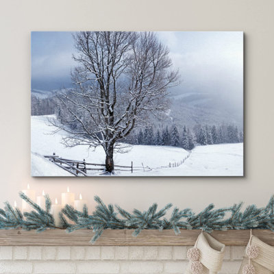 Beautiful Winter Landscape with Snow Covered Trees