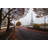 Marat Street View Of Paris by Chris-mueller - Wrapped Canvas Print-1447801850