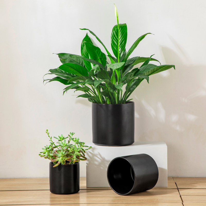 ZTHPOT Ceramic Pot Planter, Black