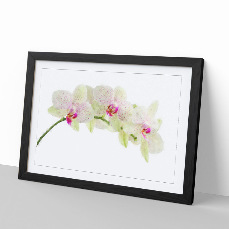 Orchid Flowers Vol.1 - Picture Frame Painting, Black Framed, 27cm H x 36cm W x 2cm D