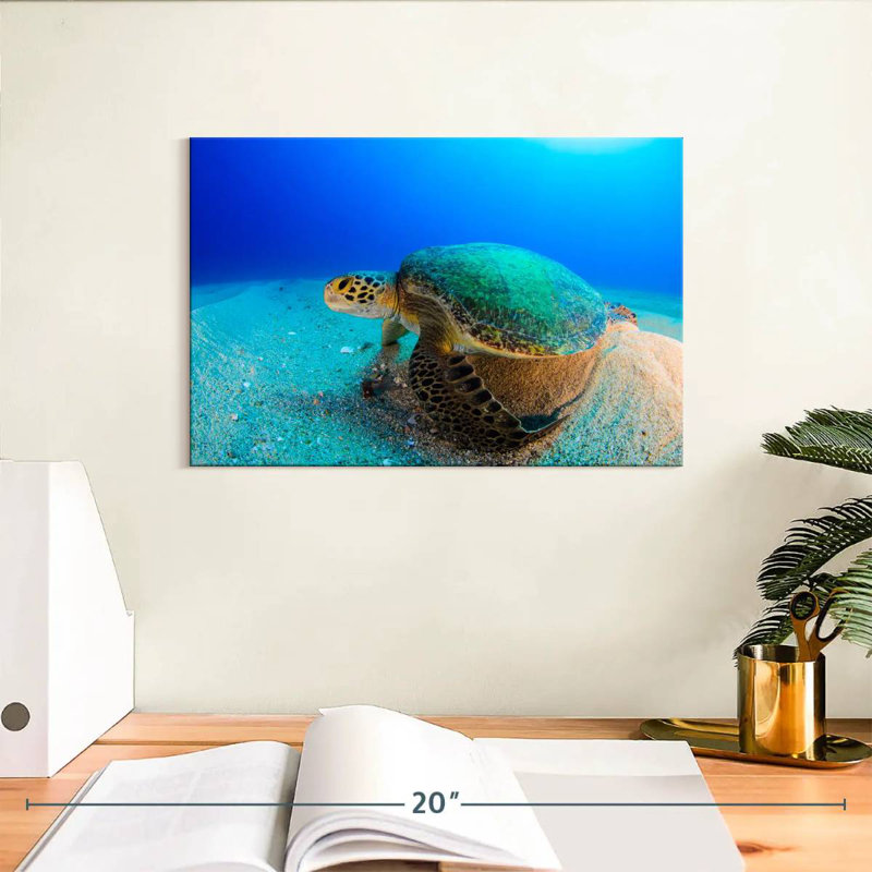Brampt Resting Sea Turtle, 8" H x 12" W