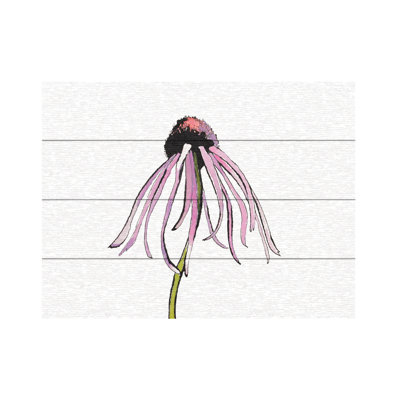 Shirley Novak Echinacea I Wood Slat Art
