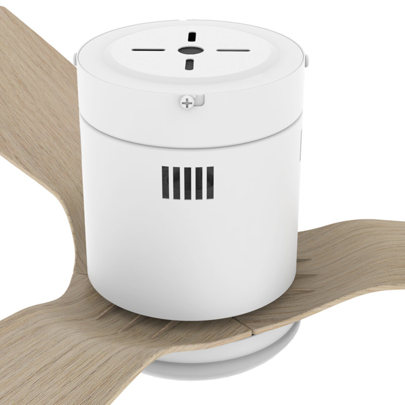 Ventilateur de plafond intelligent de 52 pouces Striver, ensemble d'éclairage à DEL à intensité variable et télécommande, compatible avec Alexa / Google Home / Siri, intérieur / extérieur