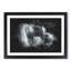 Lone Horse - Picture Frame Graphic Art-62802573-62802568