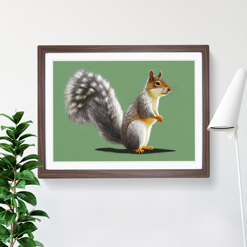 Beauteous Squirrel - Single Picture Frame Print, 46cm H x 64cm W x 2cm D, Brown Framed