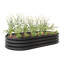 Lit de jardin surélevé ovale extérieur en métal - Lit surélevé pour plantes, légumes et fleurs-765725006