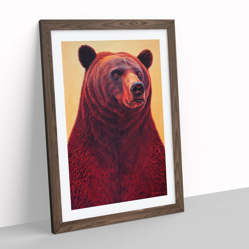 XV1022-2388X Great Grizzly Bear No.1 - Single Picture Frame Print, 46cm H x 34cm W, Brown
