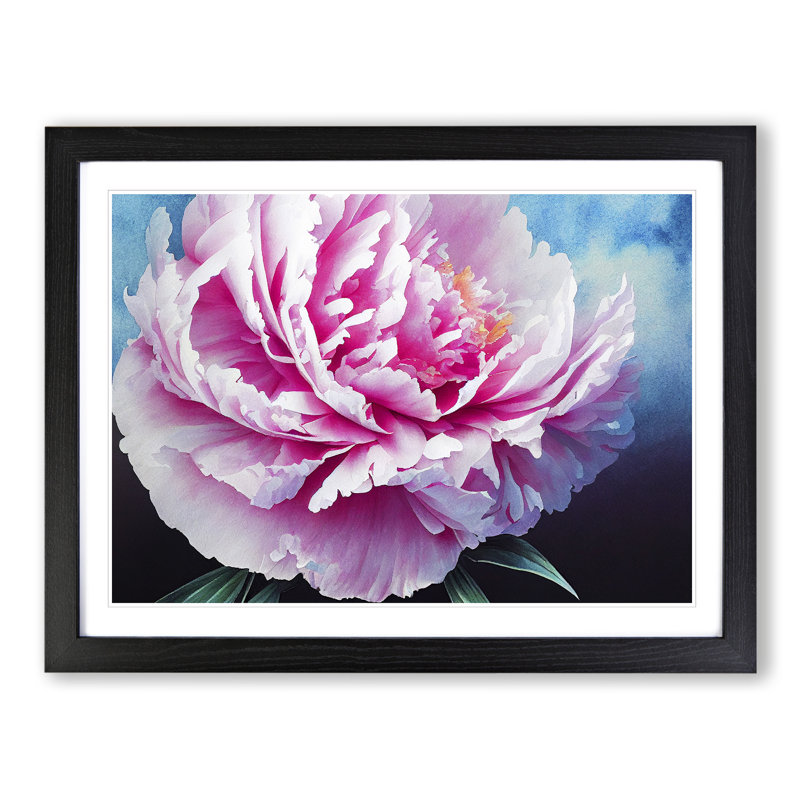 Wonderful Peony Flower - Single Picture Frame Painting, Black, 46cm H x 64cm W x 2cm D