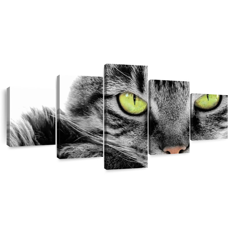 Eyed Cat, 24" H x 55" W