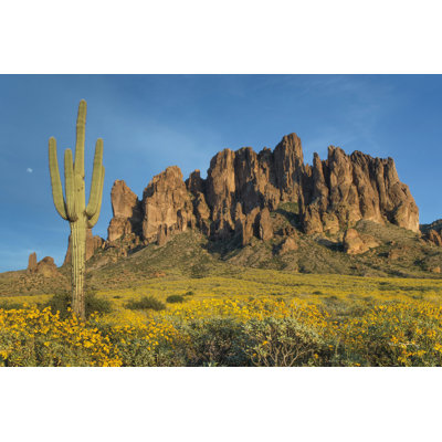 Keimy " Superstition Mountains Saguaro " by Alan Majchrowicz
