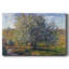 Arbre en fleur près de Vetheuil, 1879 - Toile tendue avec châssis-1943152404