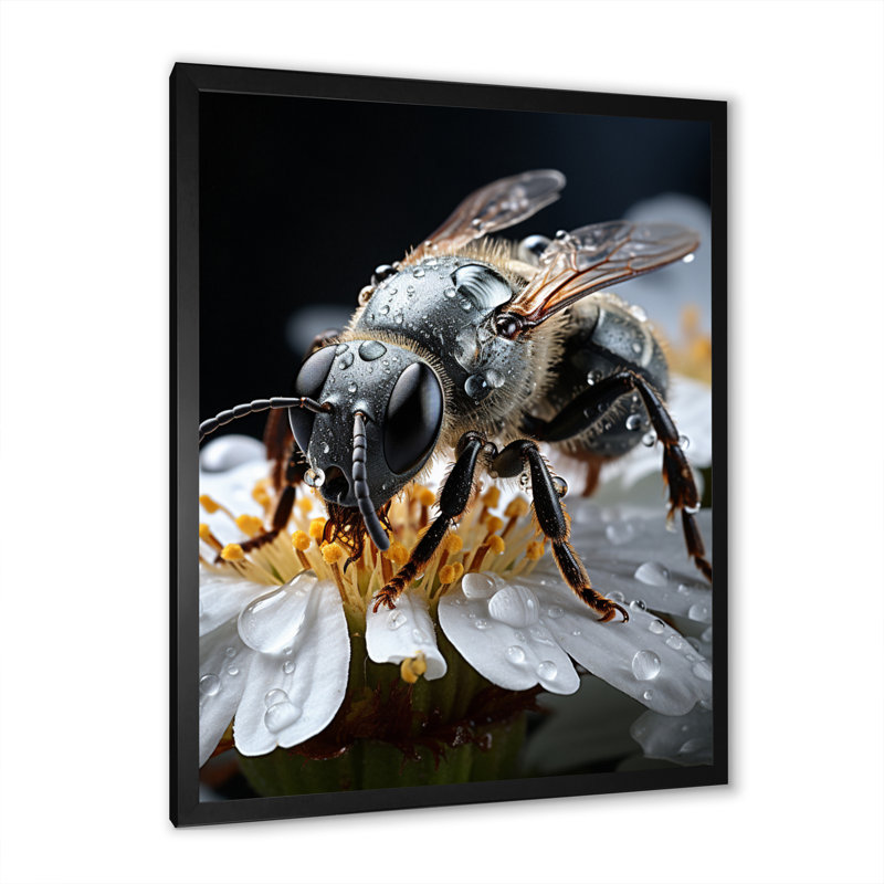 Jayloni, insectes, insectes, insectes, National I - impression, H 32 po x l 16 po x P 1 po, Toile avec cadre noir simple