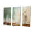 Toile tendue
