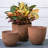Pot Planter-1306863093