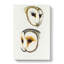 Illustration Of Two Owls by John Gould - Wrapped Canvas Painting-55362991