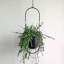 Ahziyah Metal Hanging Planter
