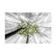 Art sur toile, feuilles vertes deologi-93222251