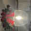 Customer photo 2 of 2