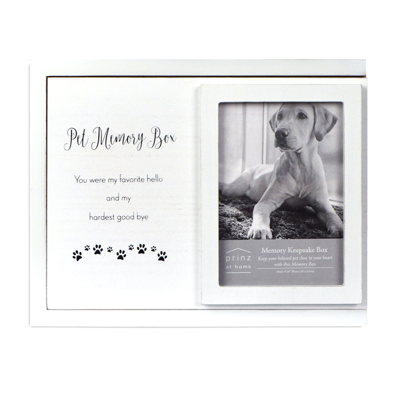 Boîte à mémoire souvenir pour chien photo décorative