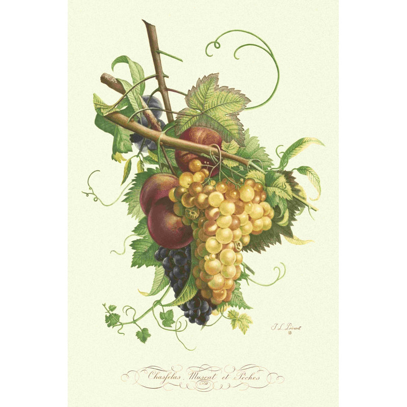 Beaucoup de fruits II, H 30 po x l 20 po