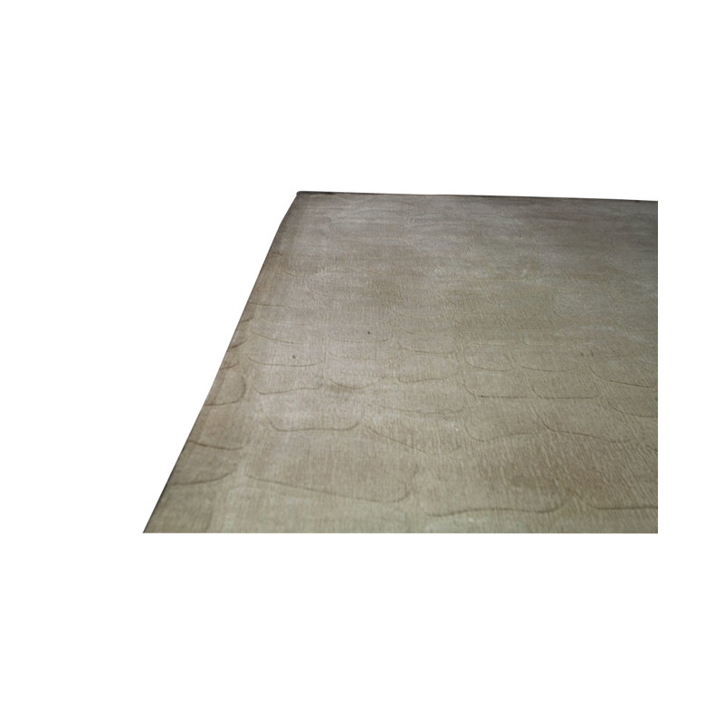 Area Rug in Brown