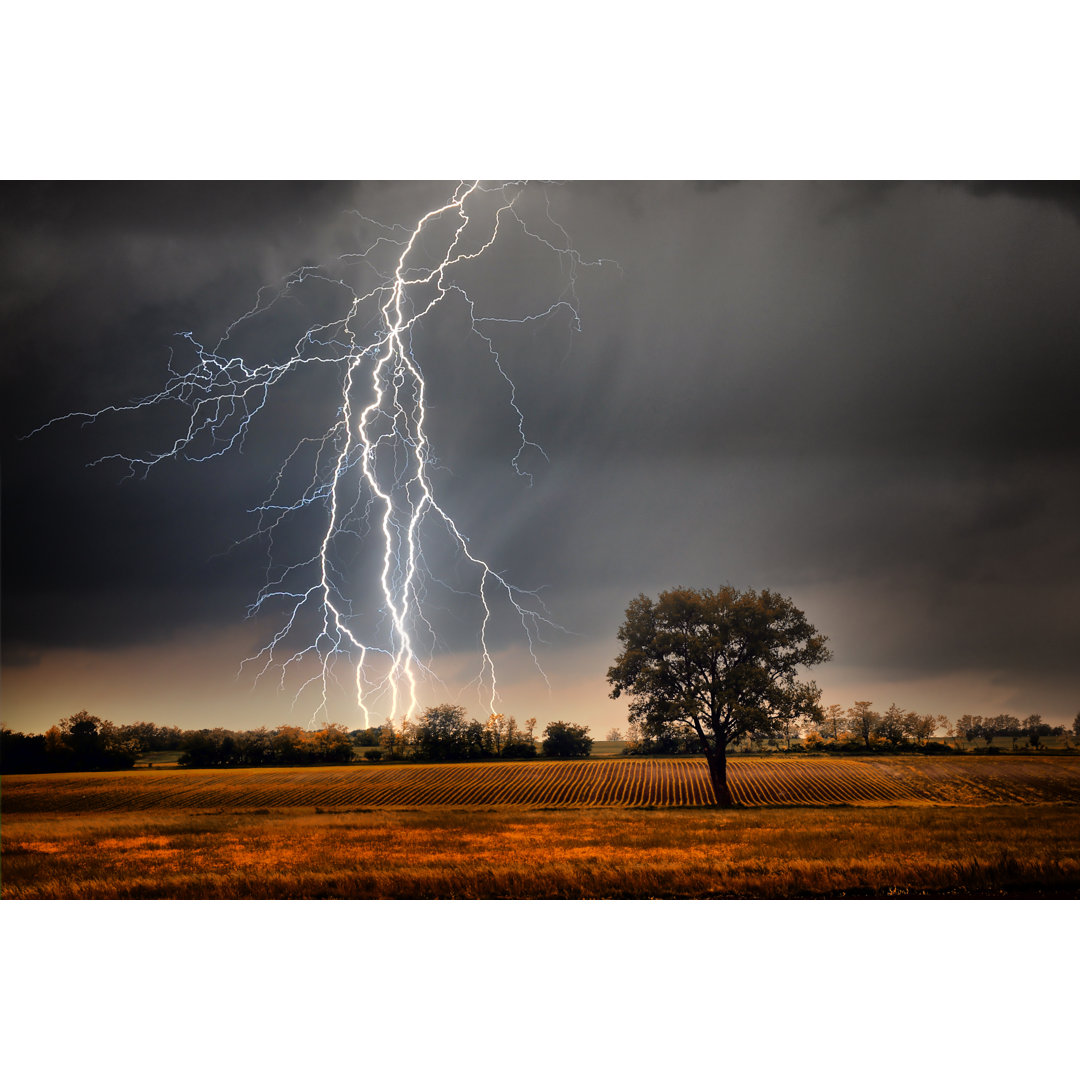 Leinwandbild Lightning over Field