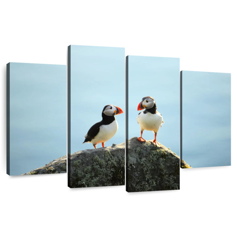 Brampt Puffin Birds, 32'' H x 52'' W