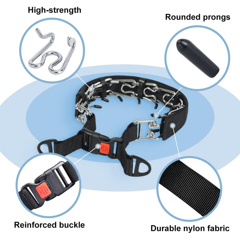Collier de dressage pour chien avec empreintes de pattes, collier réglable équipé d'une boucle à dégagement rapide pour les chiens de petite et moyenne taille
