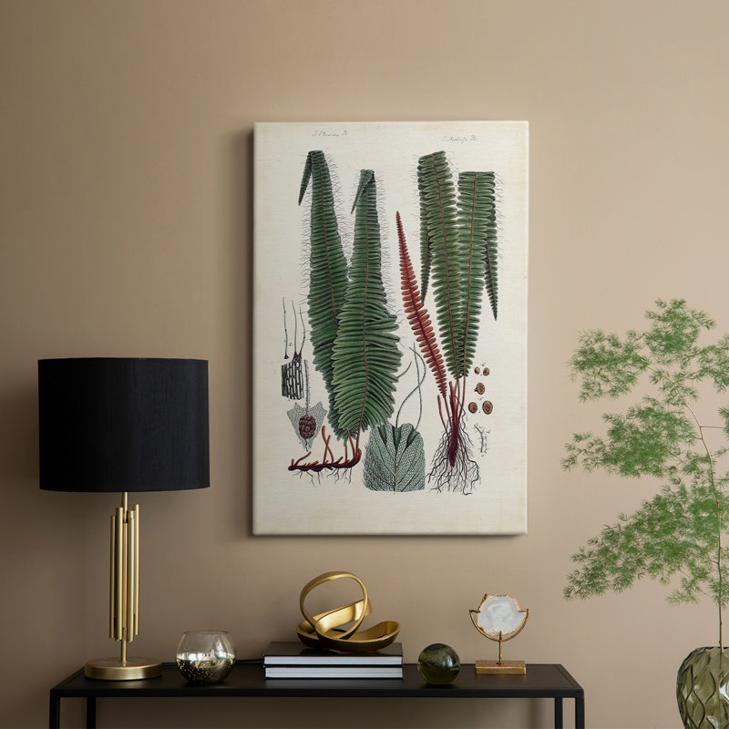 Collection de fougères V - galerie sur mesure, H 60 po x l 40 po