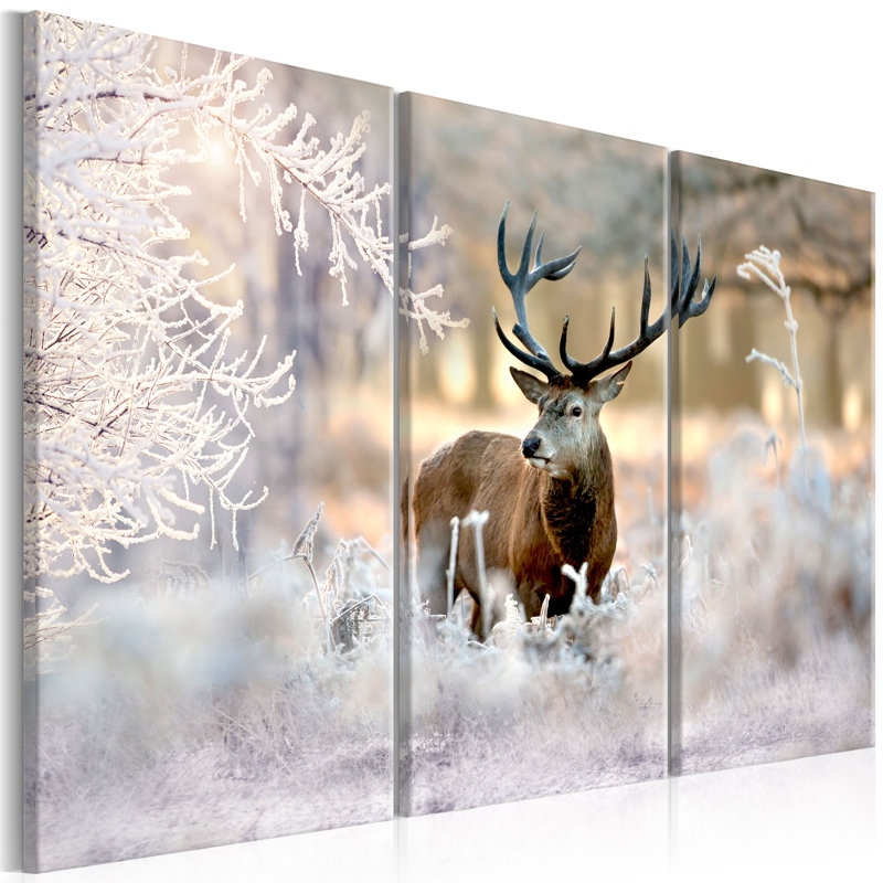No Frame Print on Canvas, 80cm H x 120cm W