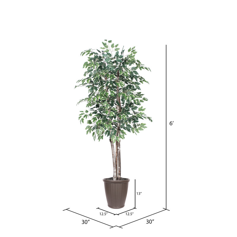 Ficus artificiel 72 po en pot, Brun