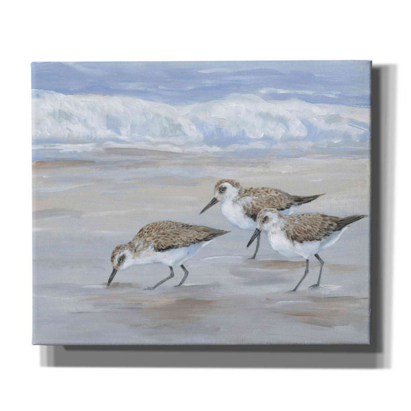 «Sandpipers II» par Tim O'toole, art mural sur toile, H 20 po x l 24 po x P 0,75 po