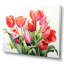 «Tulipes Minimalisme Dream I» sur toile-97031090-97031086