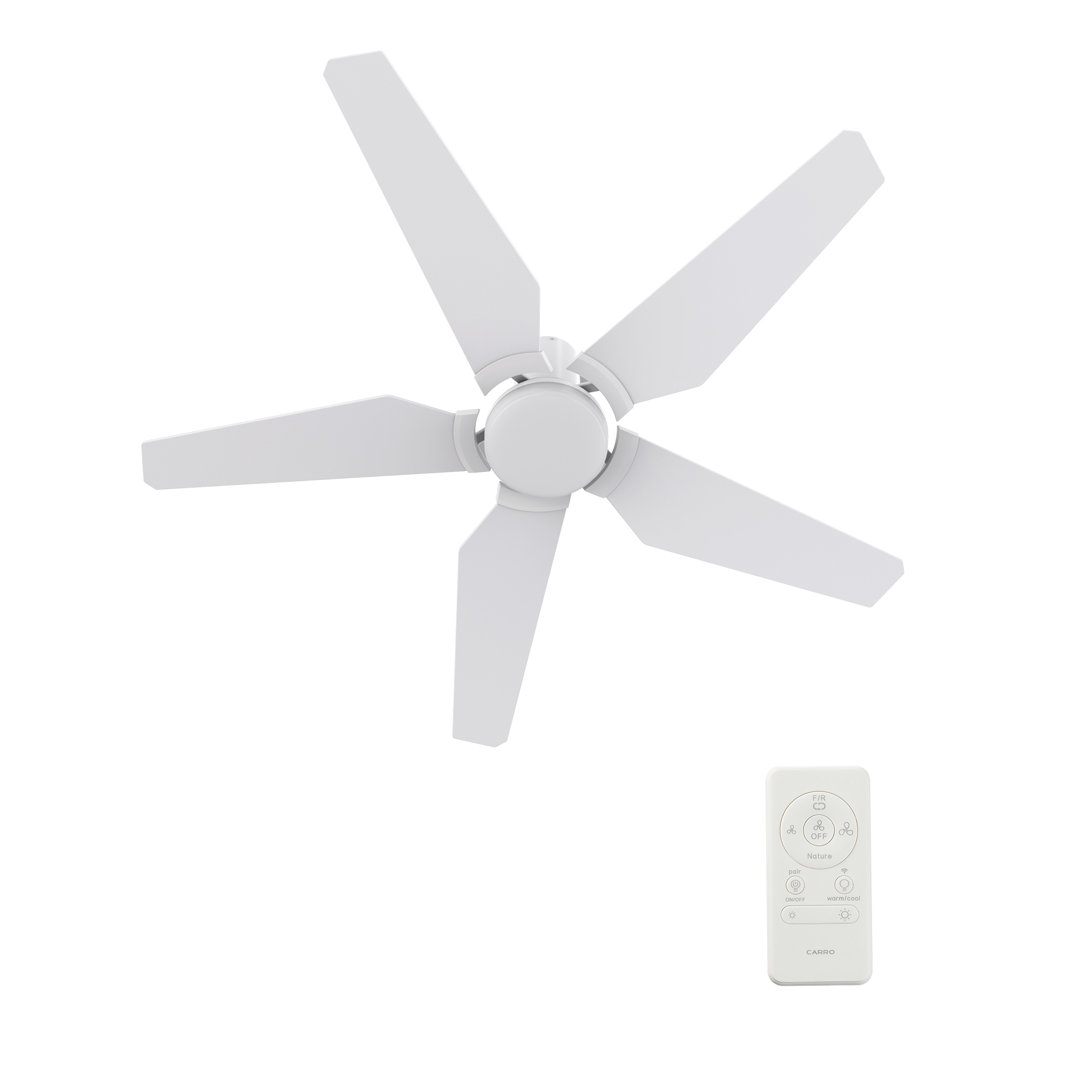 Smart DC Ceiling Fan with Light, Remote Control Flush-Mounted CARRO 