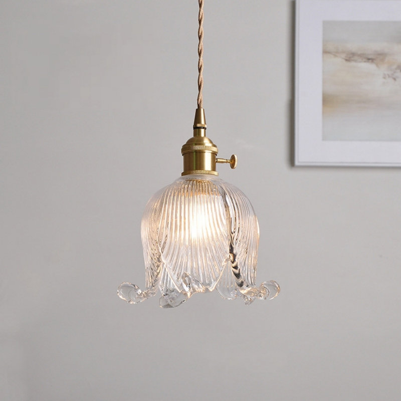 Luminaire suspendu 1 lumière Haylea, Transparent