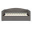 Canapé-lit rembourré, conception peu encombrante, parfait pour la chambre d'amis-795790235