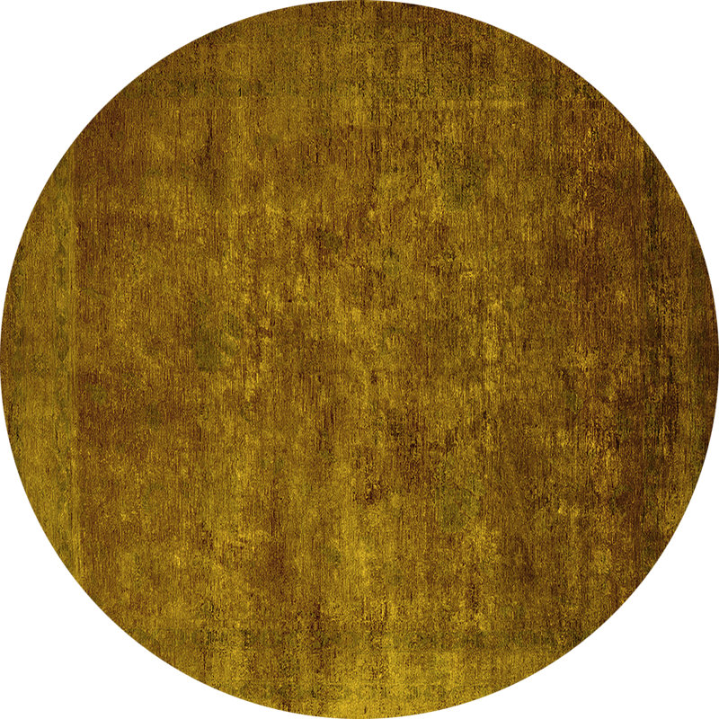 Oriental Indoor Rug