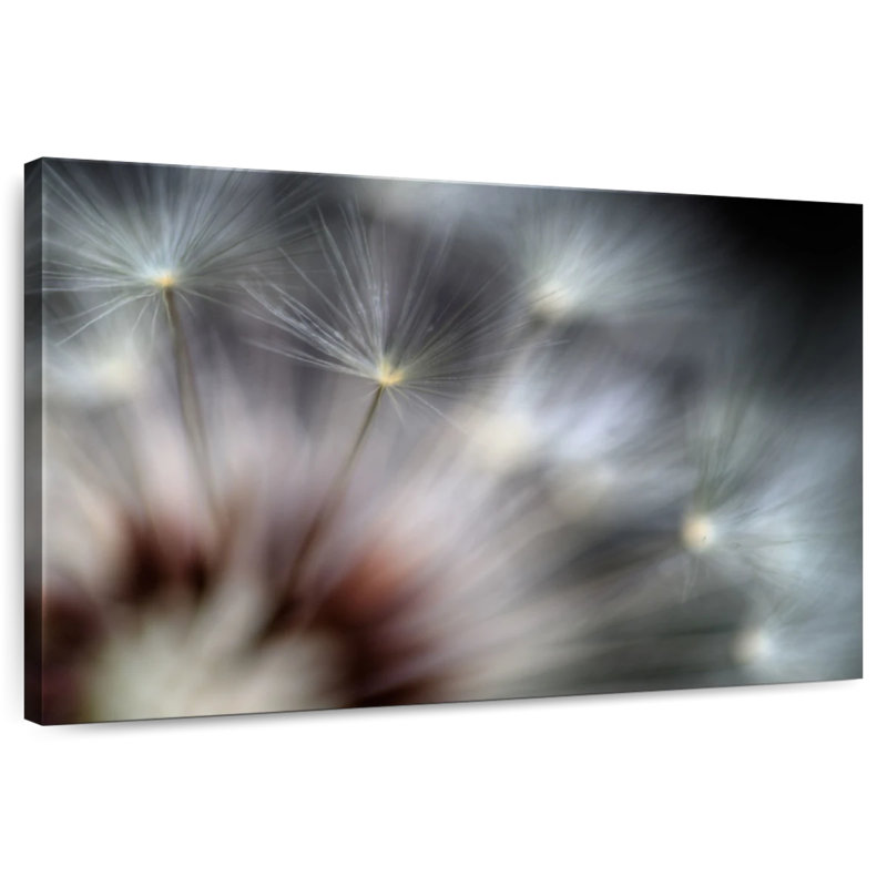 Harnek Dandelion Fireworks, 24" H x 36" W