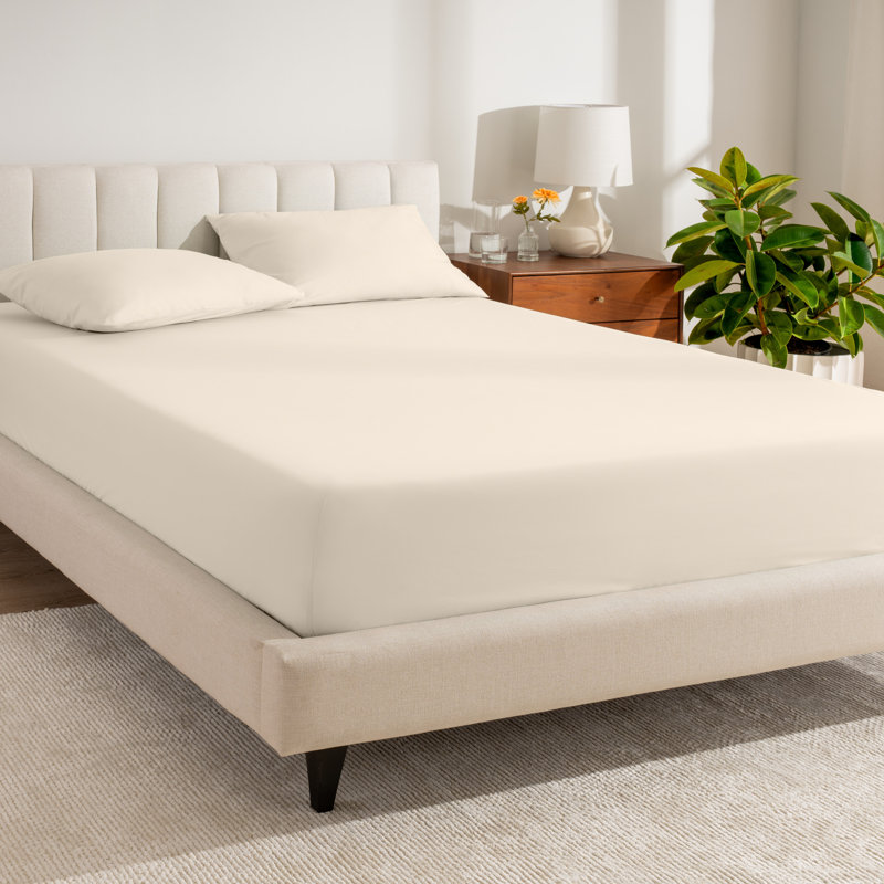 Drap-housse en percale de coton biologique à densité de tissage 300 fils, Drap-housse de taille très grand, Sable