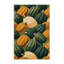  Tapis lavable lavable kabocha-1058757581