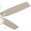 Ventilateur de plafond 52 pouces pour l'extérieur à 4 pales standard avec chaîne de traction et ensemble d'éclairage inclus Ocala-56046691