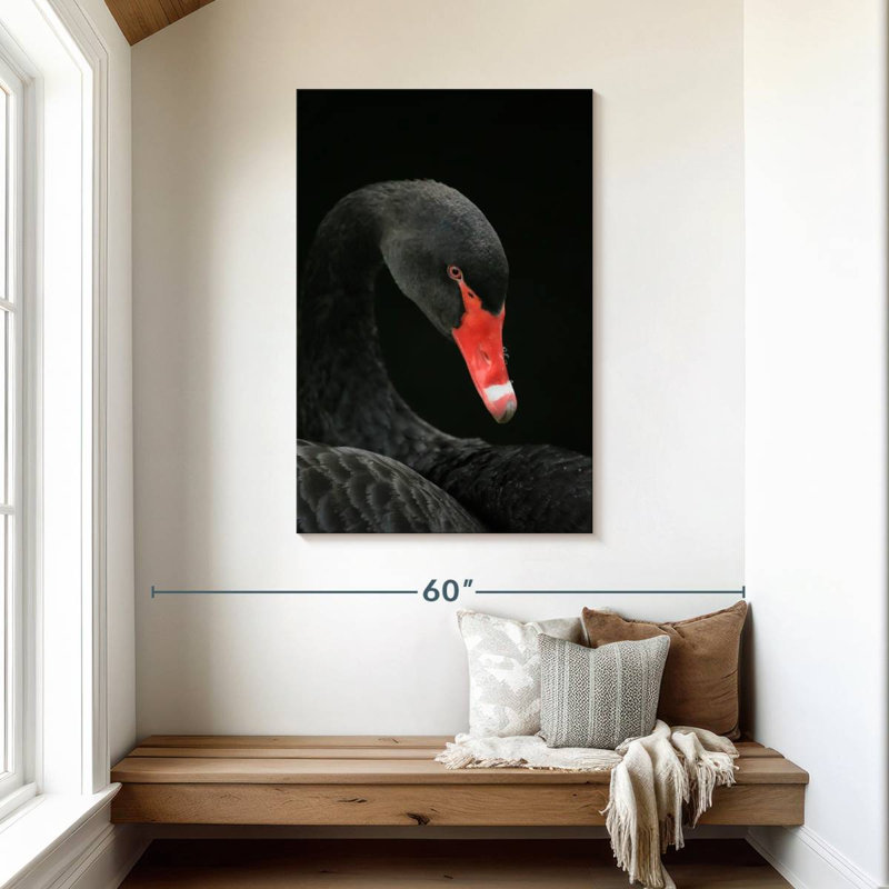 Brampt Black Swan Head, 45" H x 30" W