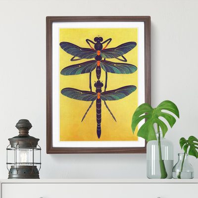 Noble Dragonflies - Framed Print