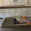 Photos des clients 1 de 2